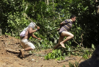 Жители джунглей Амазонки борются с черными лесорубами