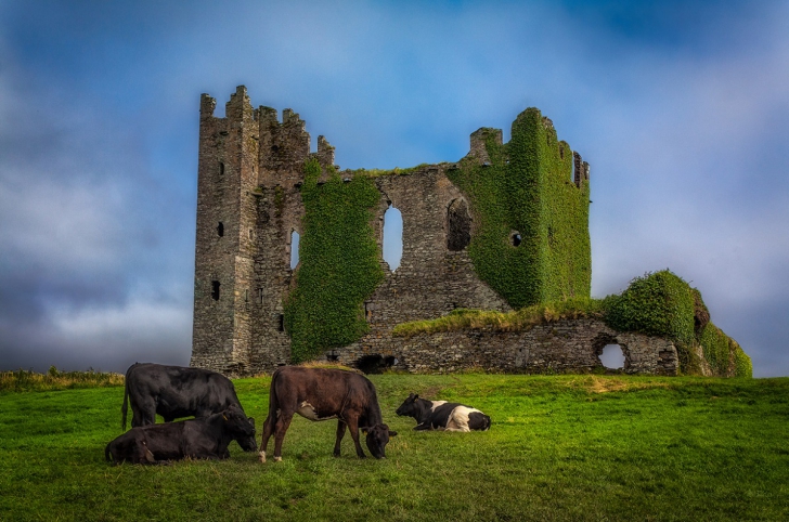 Самые красивые замки Ирландии (Топ 10)