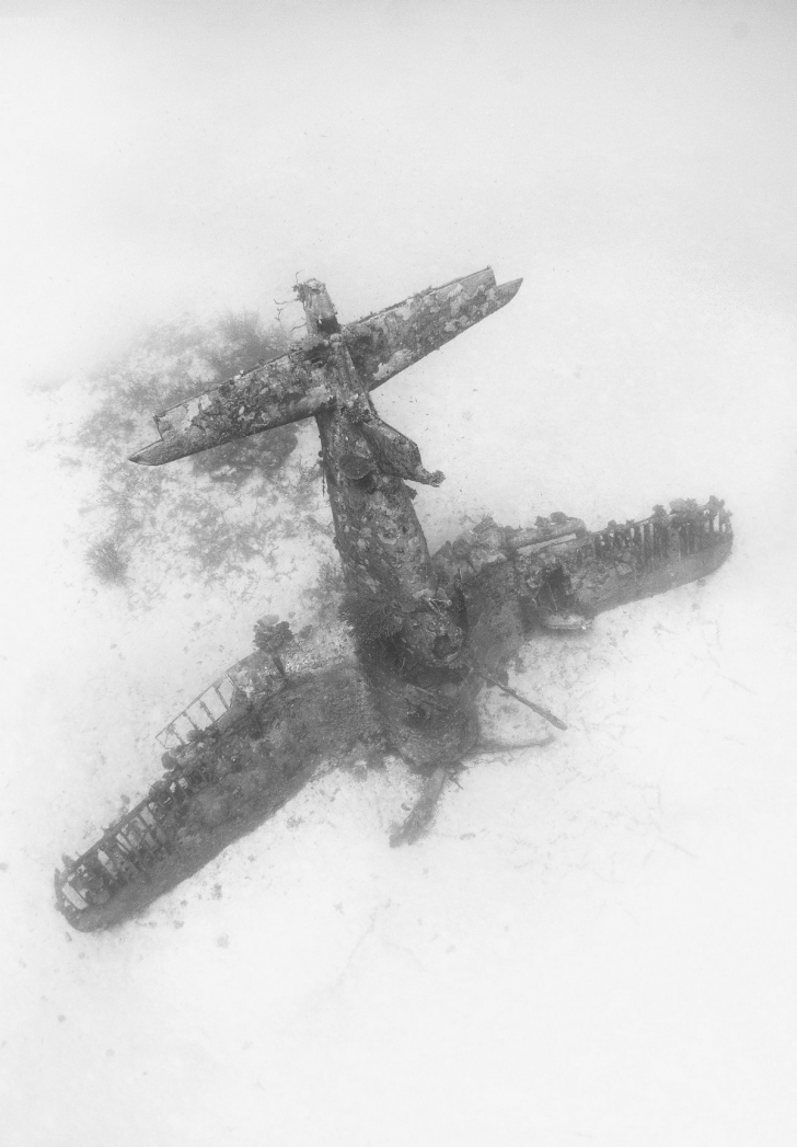 Затонувшие самолеты в фотографиях Бренди Мюллер