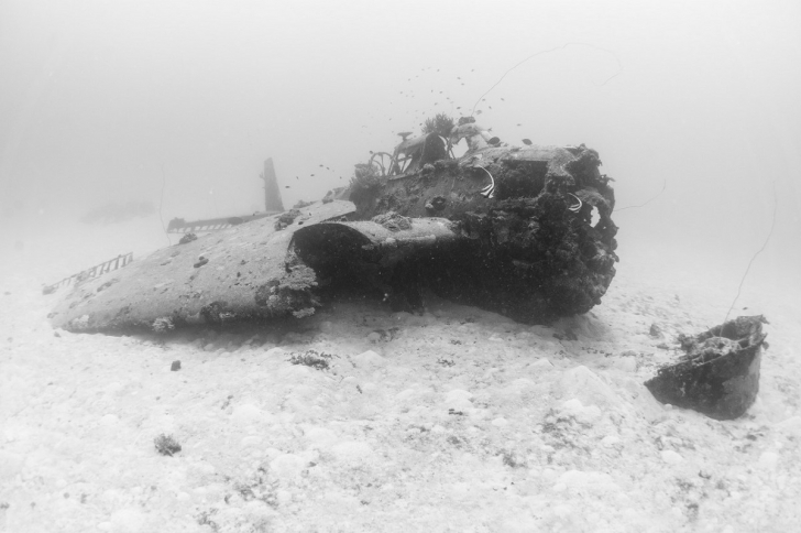 Затонувшие самолеты в фотографиях Бренди Мюллер