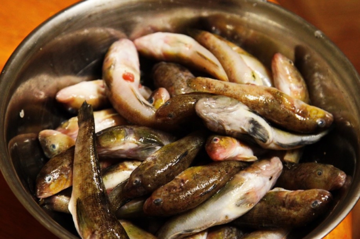 Польза и вред рыбных консерв